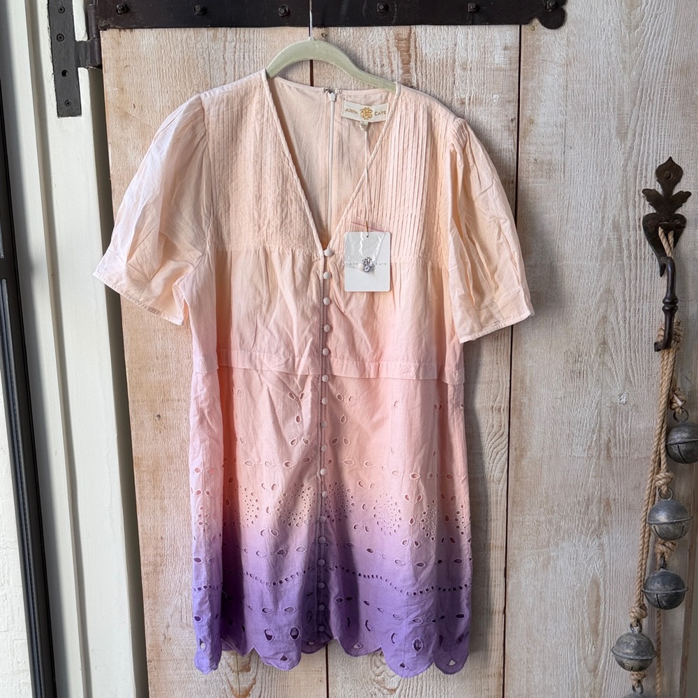 Anna Cate Ombré Isabelle Dress Large NWT